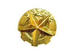 Rozeta zlatá 14 mm na uniformu